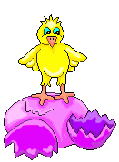 gall,-gallina,-pollet imatges-animades-gif